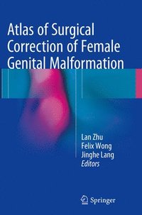 bokomslag Atlas of Surgical Correction of Female Genital Malformation