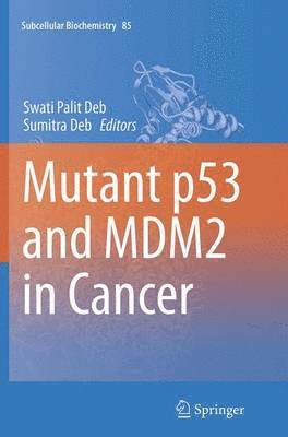 Mutant p53 and MDM2 in Cancer 1