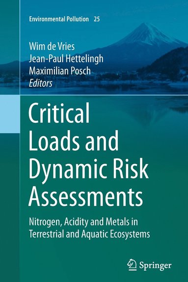 bokomslag Critical Loads and Dynamic Risk Assessments