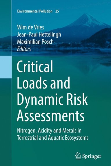 bokomslag Critical Loads and Dynamic Risk Assessments
