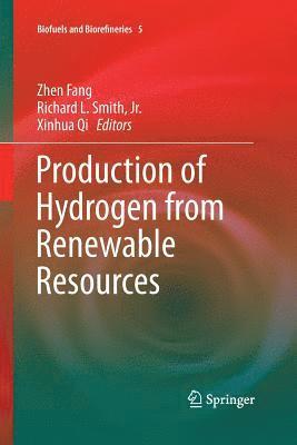 bokomslag Production of Hydrogen from Renewable Resources