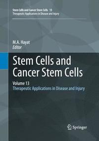 bokomslag Stem Cells and Cancer Stem Cells, Volume 13