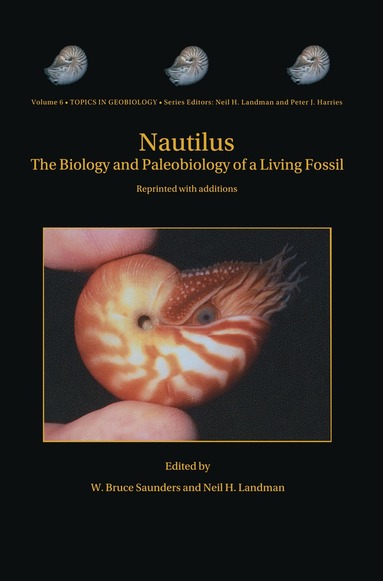 bokomslag Nautilus