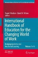 Rupert Maclean, David Wilson, Rupert MacLean - International Handbook of Education for the Changing World of Work, Häftad