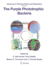 bokomslag The Purple Phototrophic Bacteria