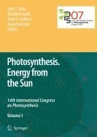 Photosynthesis. Energy from the Sun 1