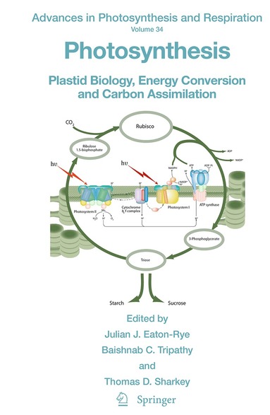 Julian J. Eaton-Rye, Baishnab C. Tripathy, Thomas D. Sharkey - Photosynthesis, Häftad