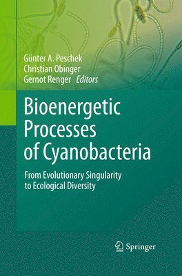 bokomslag Bioenergetic Processes of Cyanobacteria