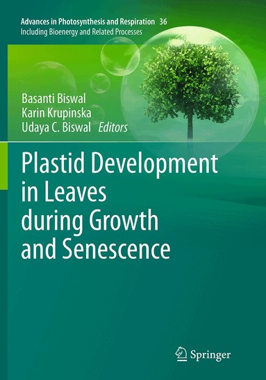 Basanti Biswal, Karin Krupinska, Udaya C. Biswal - Plastid Development in Leaves during Growth and Senescence, Häftad