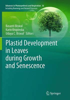 Plastid Development in Leaves during Growth and Senescence 1