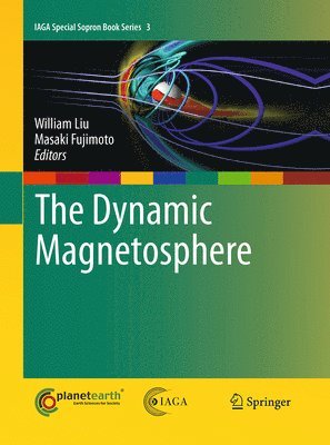Dynamic Magnetosphere