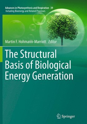 bokomslag Structural Basis of Biological Energy Generation
