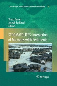 bokomslag STROMATOLITES: Interaction of Microbes with Sediments