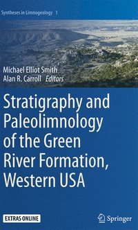 bokomslag Stratigraphy and Paleolimnology of the Green River Formation, Western USA