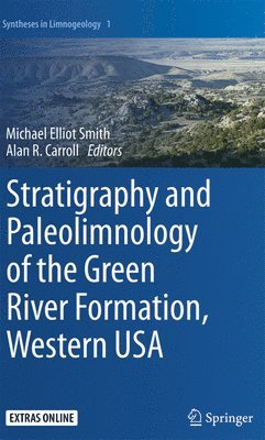 bokomslag Stratigraphy and Paleolimnology of the Green River Formation, Western USA