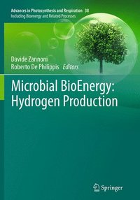 bokomslag Microbial BioEnergy: Hydrogen Production