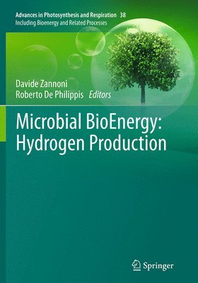 Microbial BioEnergy: Hydrogen Production 1