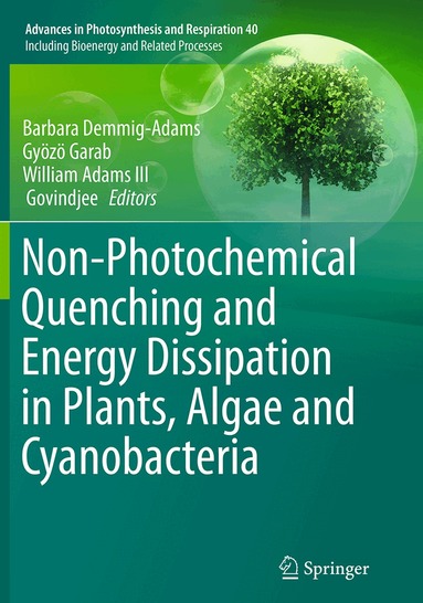 Barbara Demmig-Adams, Gyozo Garab, William Adams III, Govindjee - Non-Photochemical Quenching and Energy Dissipation in Plants, Algae and Cyanobacteria, Häftad