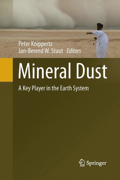 bokomslag Mineral Dust