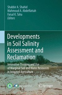 bokomslag Developments in Soil Salinity Assessment and Reclamation