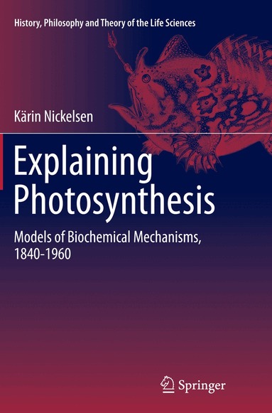 Kärin Nickelsen - Explaining Photosynthesis, Häftad