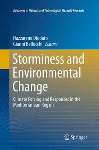 bokomslag Storminess and Environmental Change
