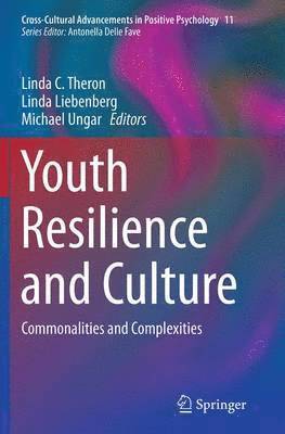 bokomslag Youth Resilience and Culture