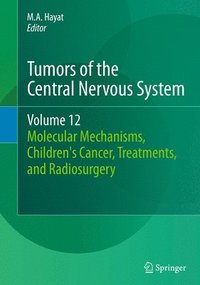 bokomslag Tumors of the Central Nervous System, Volume 12