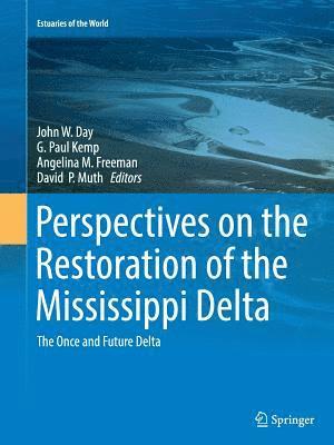 bokomslag Perspectives on the Restoration of the Mississippi Delta