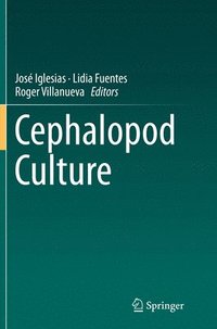 bokomslag Cephalopod Culture