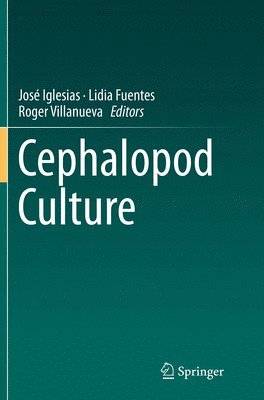 Cephalopod Culture 1
