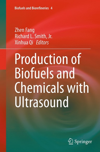 bokomslag Production of Biofuels and Chemicals with Ultrasound