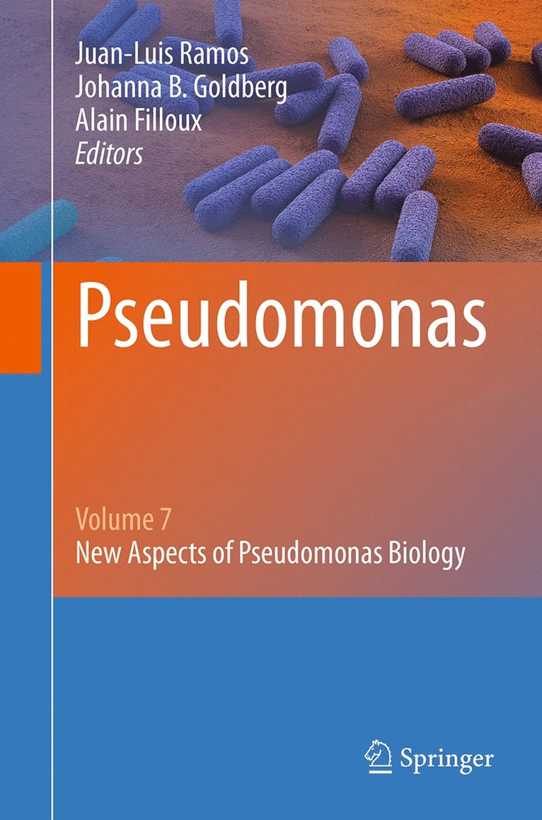 Juan-Luis Ramos, Johanna B. Goldberg, Alain Filloux - Pseudomonas, Häftad