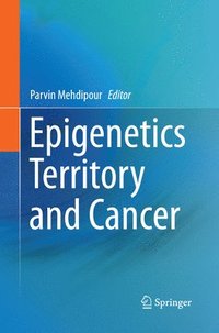 bokomslag Epigenetics Territory and Cancer