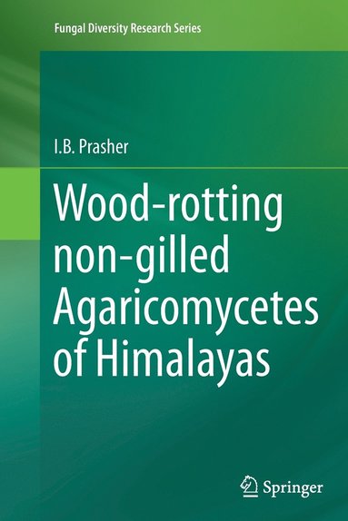 bokomslag Wood-rotting non-gilled Agaricomycetes of Himalayas