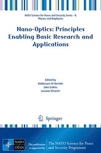 bokomslag Nano-Optics: Principles Enabling Basic Research and Applications