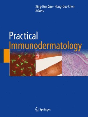 bokomslag Practical Immunodermatology