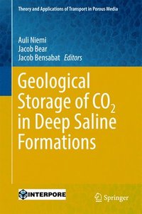 bokomslag Geological Storage of CO2 in Deep Saline Formations