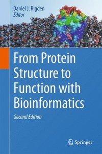 bokomslag From Protein Structure to Function with Bioinformatics