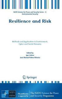 bokomslag Resilience and Risk
