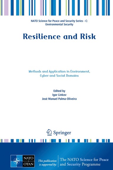 bokomslag Resilience and Risk