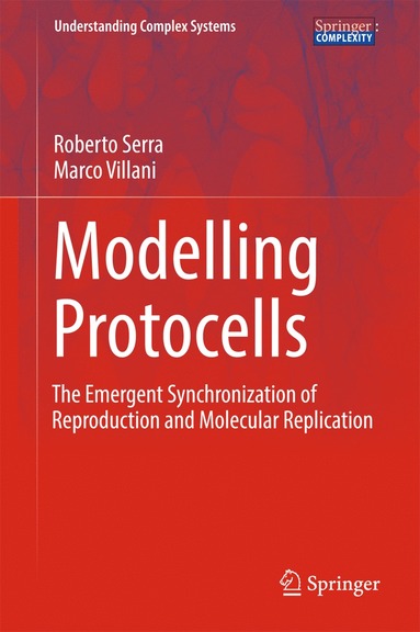 bokomslag Modelling Protocells