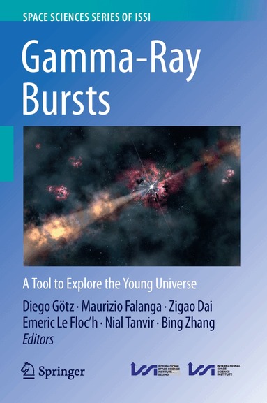 Diego Götz, Maurizio Falanga, Zigao Dai, Emeric Le Floc'h, Nial Tanvir, Bing Zhang - Gamma-Ray Bursts, Inbunden