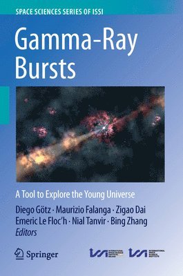 bokomslag Gamma-Ray Bursts