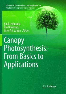 Canopy Photosynthesis: From Basics to Applications 1