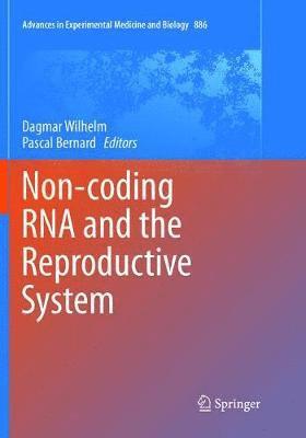 bokomslag Non-coding RNA and the Reproductive System