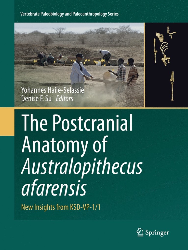 Yohannes Haile-Selassie, Denise F. Su - Postcranial Anatomy of Australopithecus afarensis, Häftad