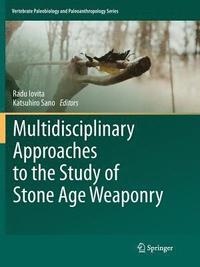 bokomslag Multidisciplinary Approaches to the Study of Stone Age Weaponry