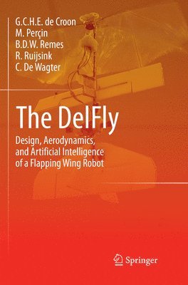 The DelFly 1