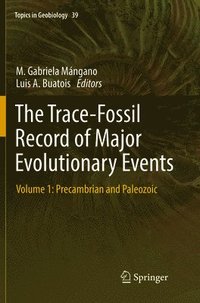bokomslag The Trace-Fossil Record of Major Evolutionary Events